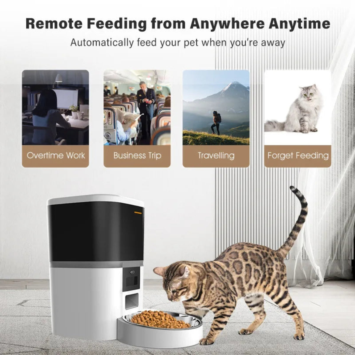 Smart Wi-Fi Automatic Pet Feeder with App Control